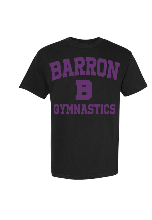 Barron varsity style COMFORT COLORS adult